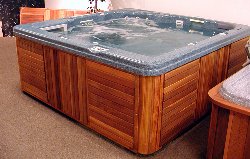 Click here for hot tubs and
                                  spas,indoor spas,discount hot tubs,hot
                                  tub maintenance,spas and hot tubs and
                                  hottubs
